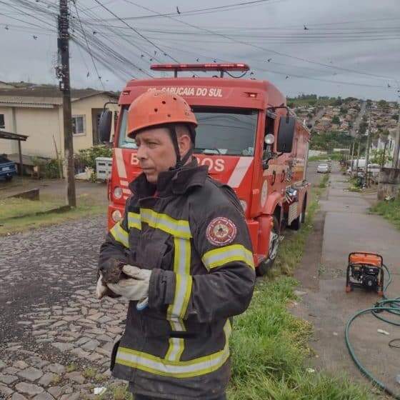 BOMBEIROS RESGATAM CADELINHA DE TUBULAÇÃO DE ESGOTO
