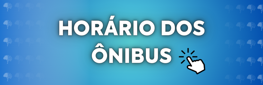 Horario onibus