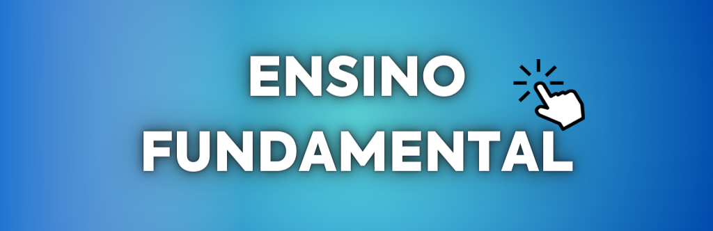 ICONE ENS FUND