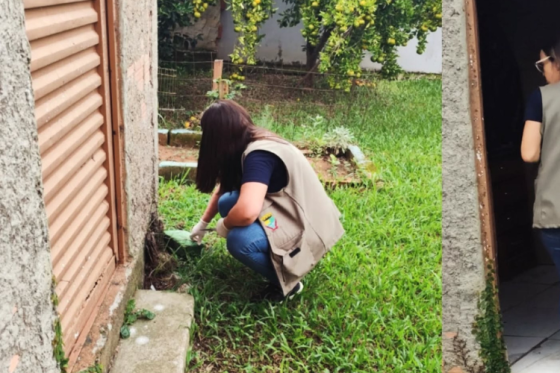 Sapucaia do Sul intensifica ações de prevenção contra a doença de Chagas