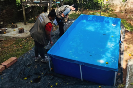 Sapucaia do Sul intensifica combate ao mosquito Aedes Aegypti