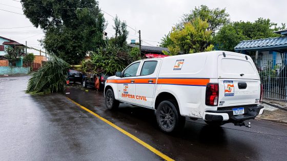 Boletim parcial: ocorrências causadas pelo vendaval desta segunda-feira