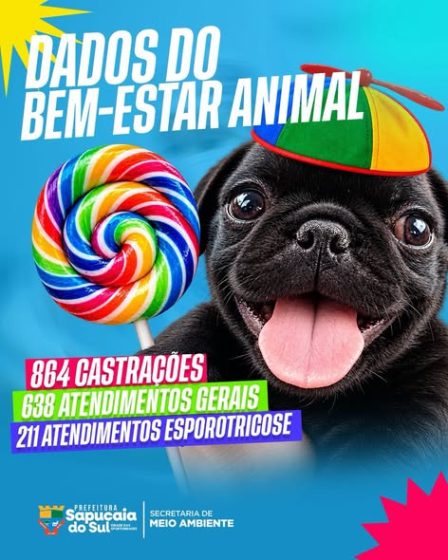 Setor de Bem-Estar Animal realiza 864 castrações entre janeiro e setembro